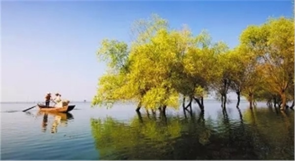 春暖花開南洞庭踏青、云夢(mèng)七色花洲一日游  