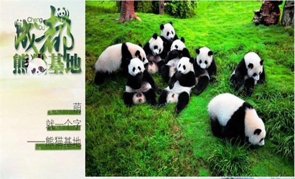 長(zhǎng)沙、成都雙飛6天
