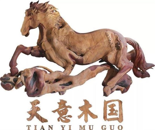 　益陽天意木國(guó)+現(xiàn)代農(nóng)業(yè)嘉年華汽車一日游