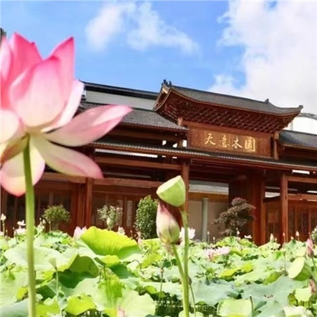 益陽(yáng)天意木國(guó)木文化博物館、金家堤、一碑五館一日游