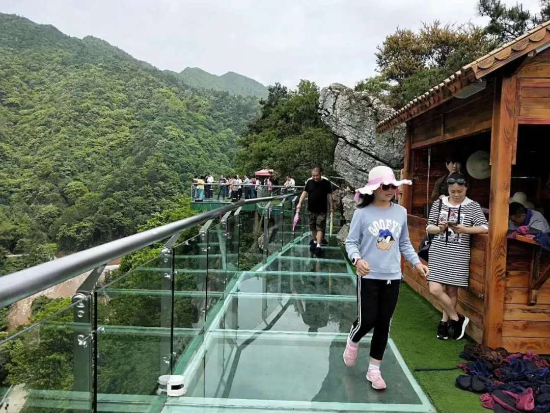 益陽安化?天下茶道、云臺山、茶香花海2日游