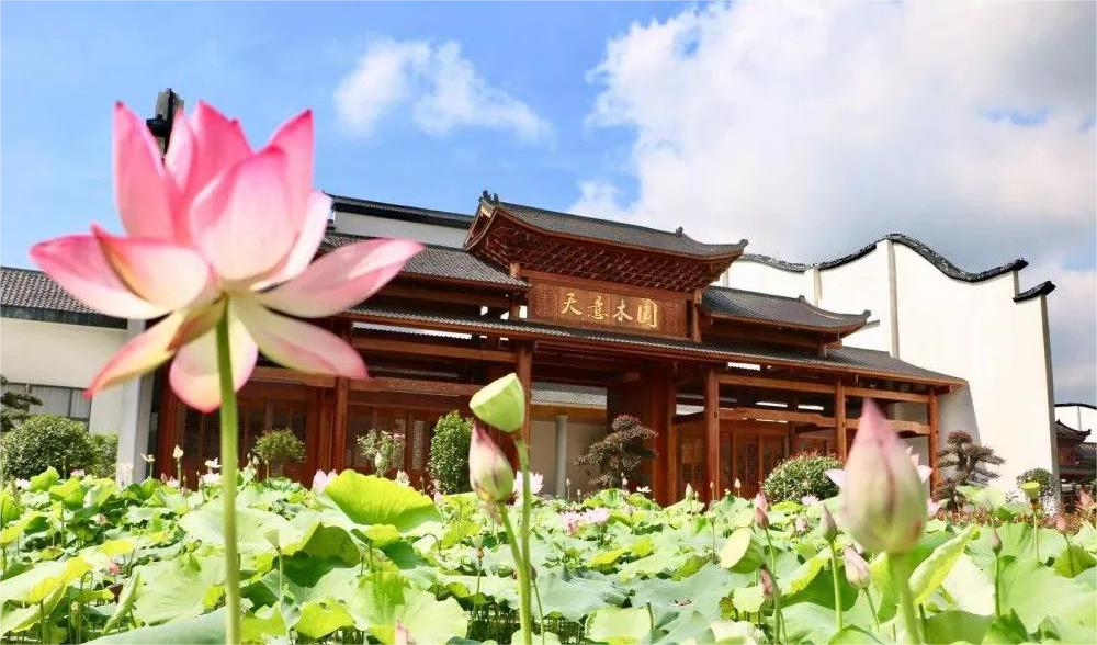 清溪村、天意木國(guó)景區(qū)、明清古巷、市博物館、胡林翼故居二日游